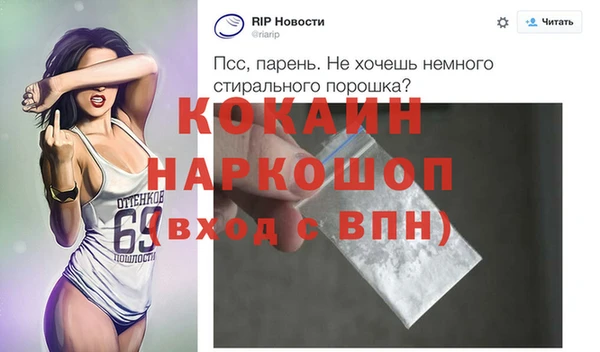 молекула духа Ладушкин