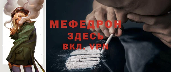 молекула духа Ладушкин