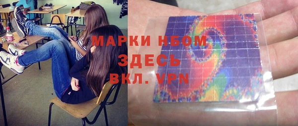 молекула духа Ладушкин